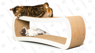 Pounce On PetFusion Cat Scratch Lounger Deal